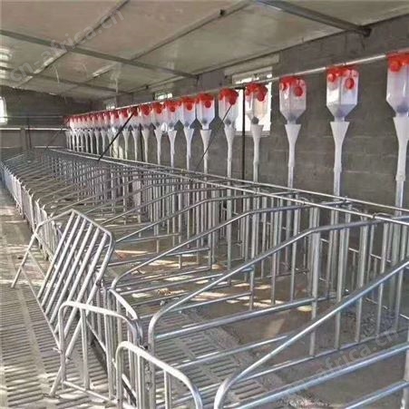 华清环保 猪舍自动料线 养猪场料线 料线主机批发报价 工厂直发