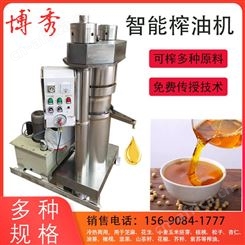 橄榄榨油设备 物理压榨 液压榨油机器 茶籽油冷榨机  现货低价