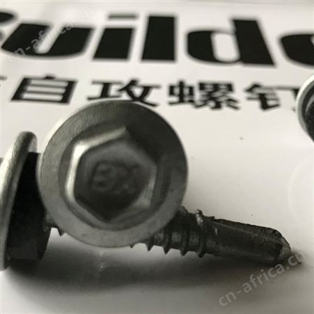 标的 标迪自攻钉螺丝燕尾钉钻尾丝钉自钻自攻螺丝钉buildex5.5*30