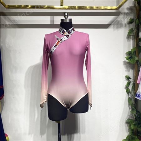 藏族舞蹈服定制成人渐变上衣演出服裙子套装艺考表演服女量身定制
