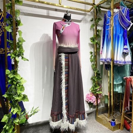 藏族舞蹈服定制成人渐变上衣演出服裙子套装艺考表演服女量身定制