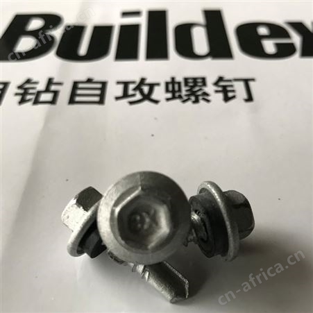 标的 标迪自攻钉螺丝燕尾钉钻尾丝钉自钻自攻螺丝钉buildex5.5*30
