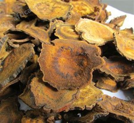 大黄批发价格