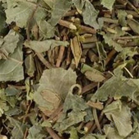 矮地茶卖一斤