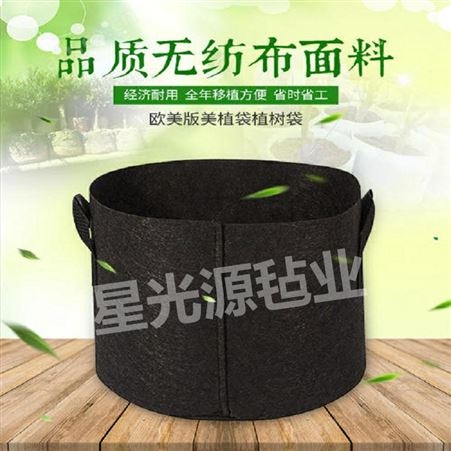 亚马逊供应毛毡种植桶 手提式针刺无纺布美植袋 可定制