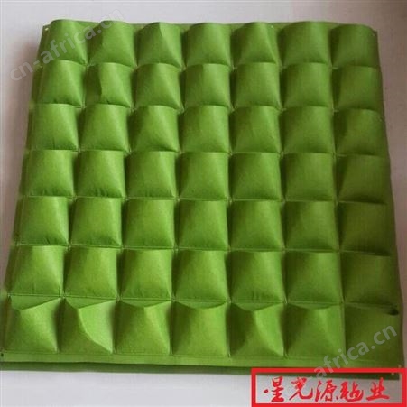 墙体绿化毛毡美植袋，种植袋无纺布毛毡，绿色毛毡袋