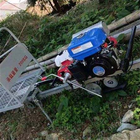 山地果园小火车 茶园果园单轨运输机 汽油动力轨道运输车