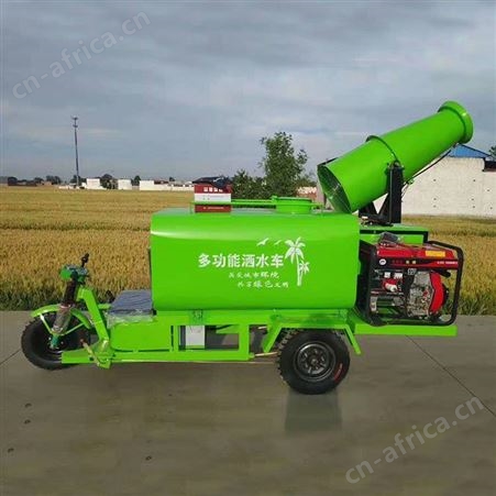 三轮雾炮洒水车 电动雾炮洒水车 雾炮车盛祥顺