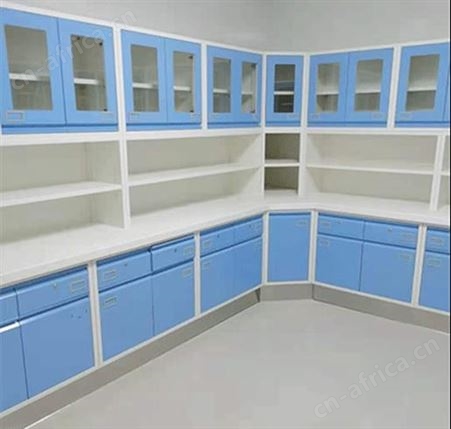 白龙马实验室 实验室设备及家具 全钢实验边台边柜  源头工厂