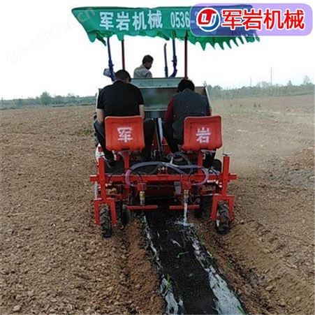 白菜栽苗机  娃娃菜栽苗机  甘蓝栽苗机 栽苗机 厂家供货价格