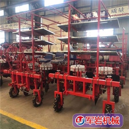梅干菜种植机 西兰花种植机 甜菜栽苗机 支持非标定制