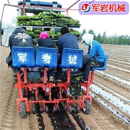 白菜栽苗机  娃娃菜栽苗机  甘蓝栽苗机 栽苗机 厂家供货价格