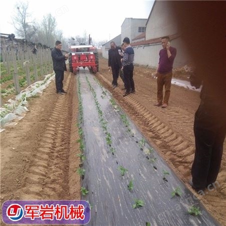 红薯种植机_军岩_辣椒蔬菜移栽机_专业生产现货销售