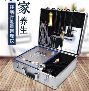 经筋骨能量调理仪 经络疏通 dds酸碱平养生美容按摩器厂家