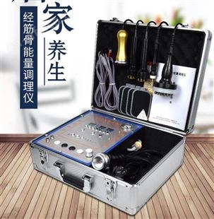 能量养生仪 多功能美容养生仪 经筋骨能量调理仪