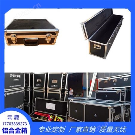 定做航空箱 铝合金运输箱 仪器箱 五金工具箱 拉杆箱 品质厂家