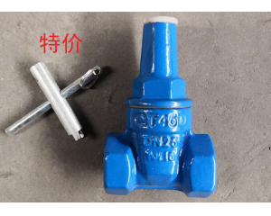 防盗型丝扣闸阀