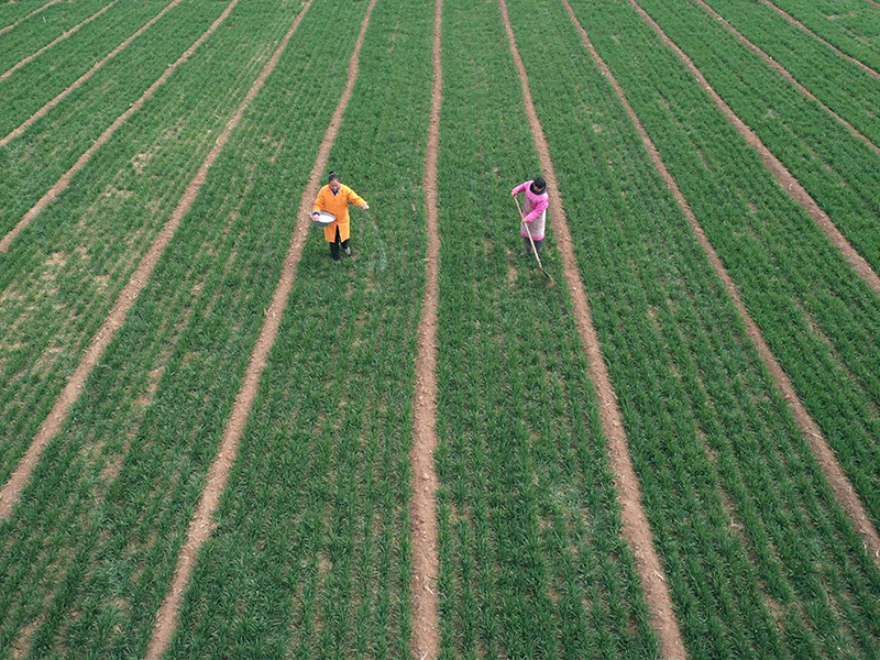 测土配方施肥仪
