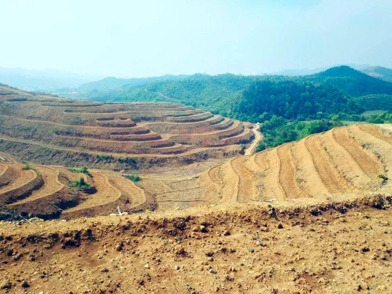 土壤养分速测仪