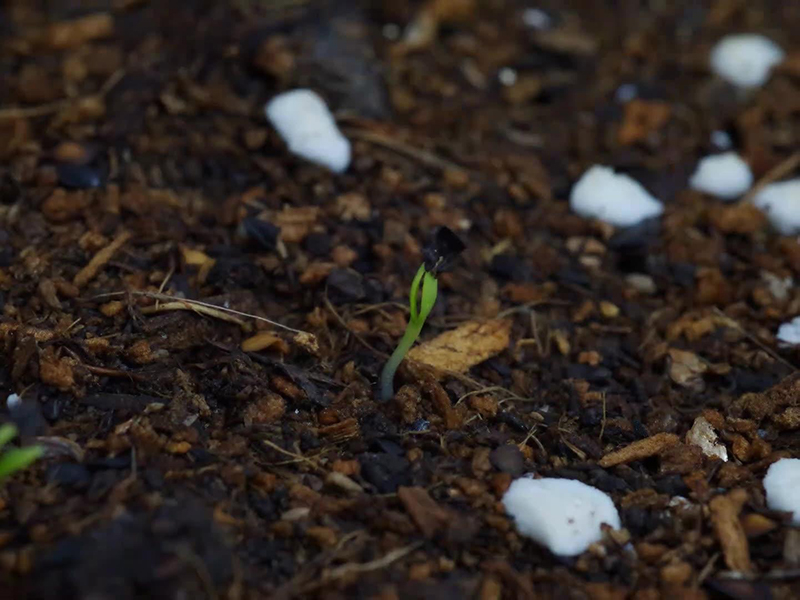 土壤养分速测仪