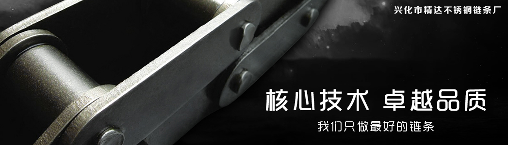 不锈钢传动链条 不锈钢传动链条