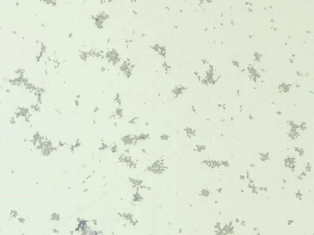 1587627237720944.jpg 14.jpg