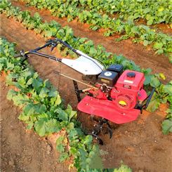 小型手推式微耕机   汽油手推式翻地机   家用农田微耕机