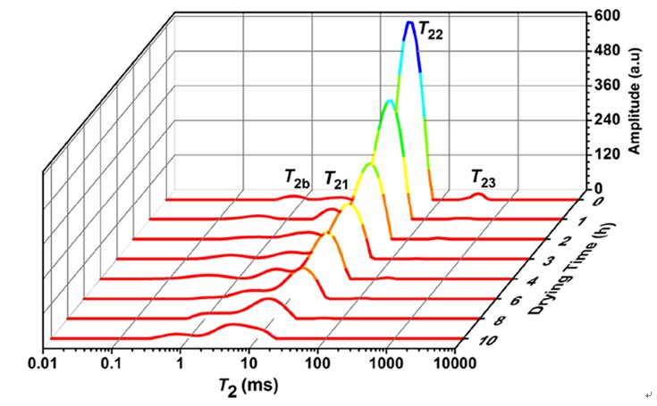 低场核磁共振与磁共振成像监测虾干过程中水分动态变化