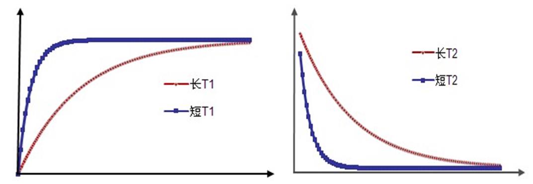 核磁法测玻璃化转变温度Tg以及与DSC测Tg对比 核磁法测玻璃化转变温度Tg以及与DSC测Tg对比